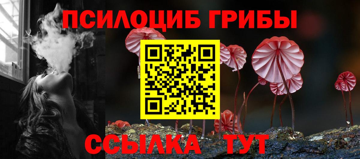 Галлюциногенные грибы прущие грибы  Вход с VPN  Галлюциногенные грибы Psilocybe  Серпухов 