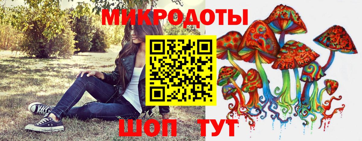 Галлюциногенные грибы Cubensis Серпухов